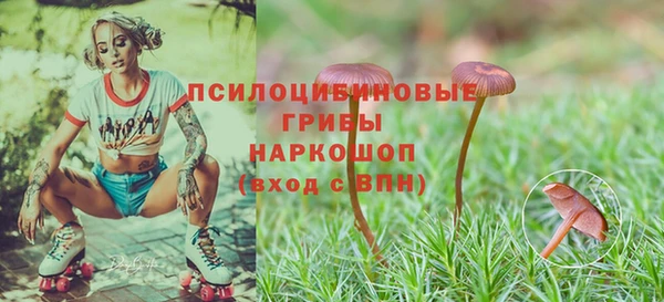 СК Вяземский