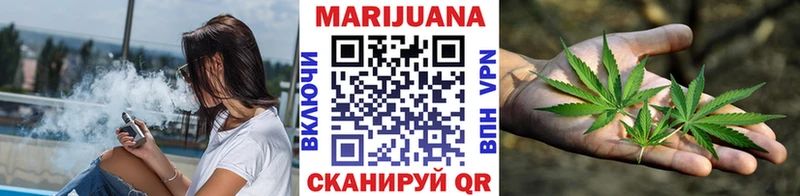 Купить где Ветлуга Шишки марихуана планчик